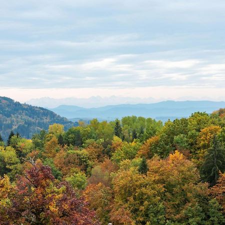 Apartment On The Edge Of The Forest Kleines Wiesental Экстерьер фото