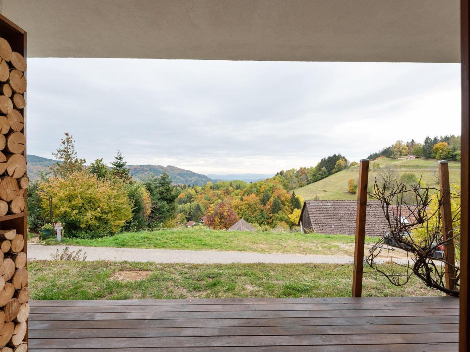 Apartment On The Edge Of The Forest Kleines Wiesental Экстерьер фото