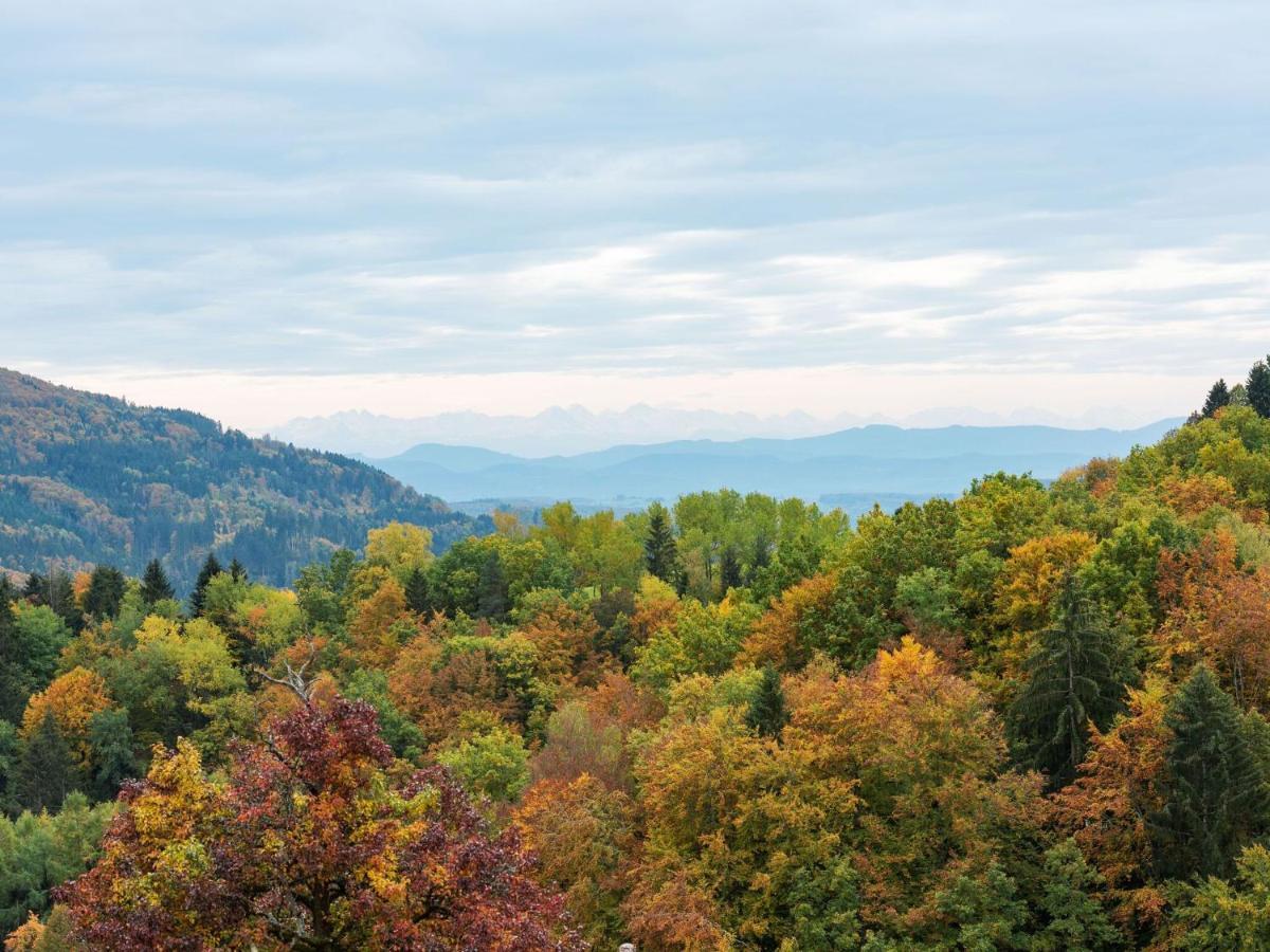 Apartment On The Edge Of The Forest Kleines Wiesental Экстерьер фото